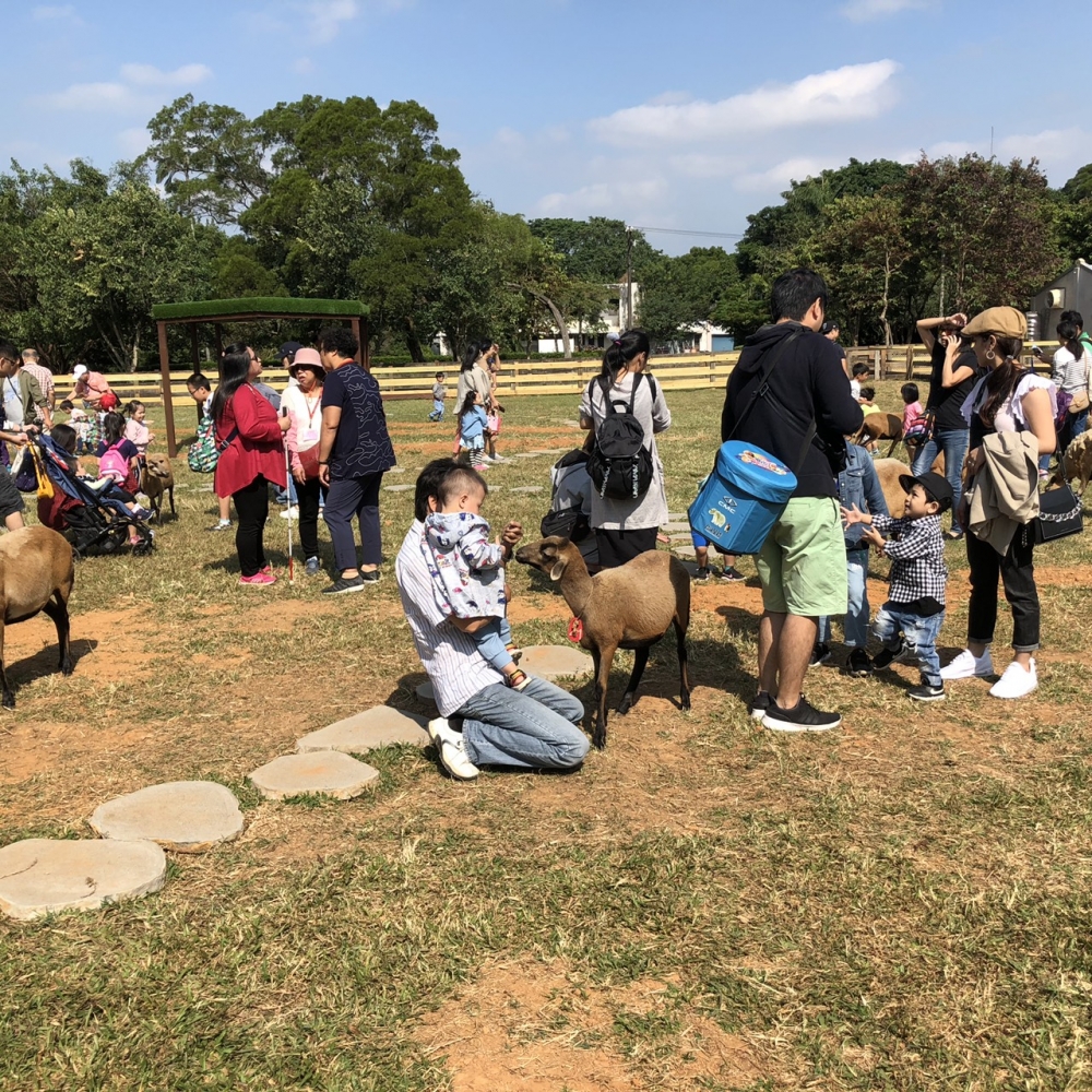 S__35250197.jpg S__35250197.jpg